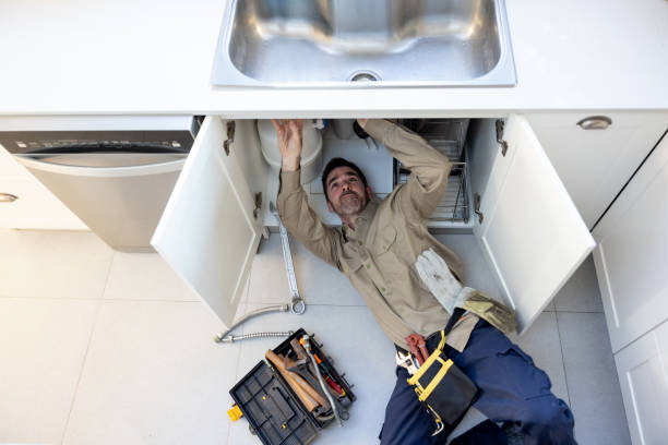 Best Local Plumber Services  in Sunny Isles Beach, FL