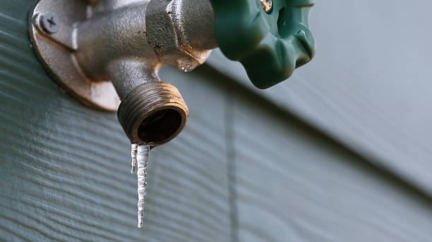 Best Affordable Plumbing Services  in Sunny Isles Beach, FL